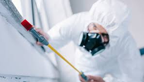 Best Commercial Pest Control  in Mitchell, IL